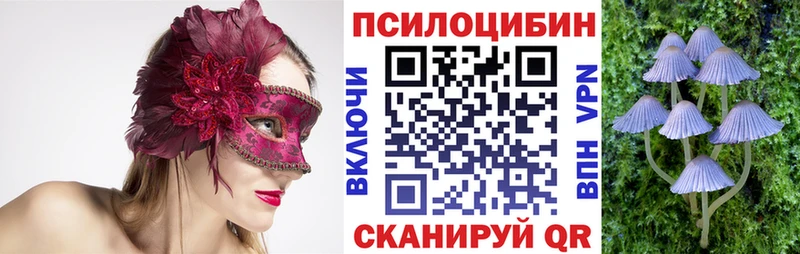 наркотики Омутнинск Галлюциногенные грибы Magic Shrooms
