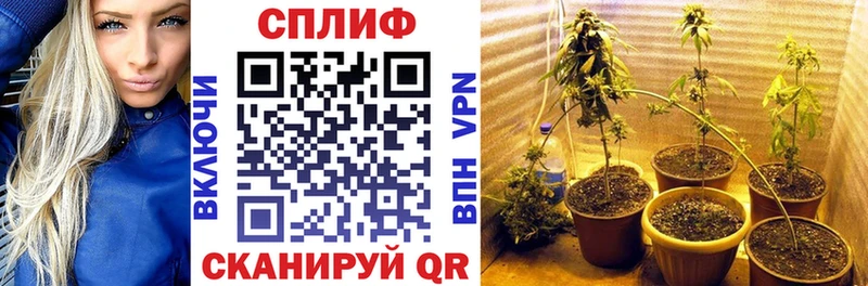 Марихуана конопля Омутнинск